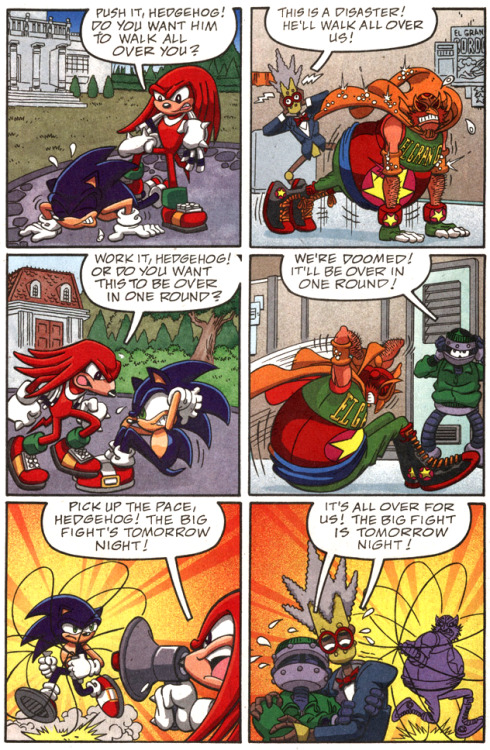 thankskenpenders: Knuckles taking the upcoming charity fight between Sonic and El Gran Gordo way too