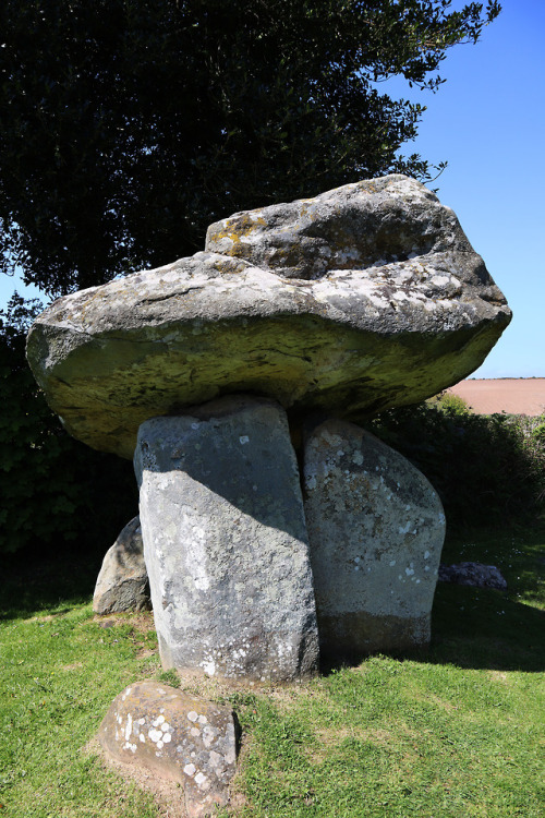 Carreg Coetan Arthur Burial Chamber, Pembrokeshire, 5.5.18.These stones are all that remain of a cha