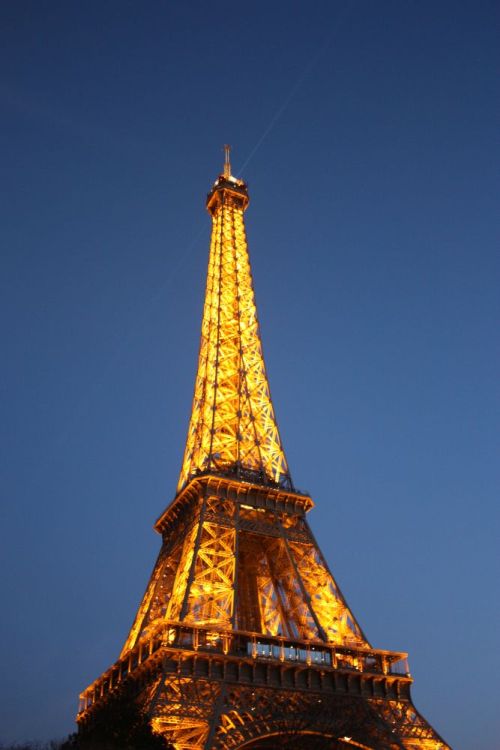 Lit up Eiffel Tower