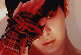 HAPPY WONHO DAY! 1993.03.01