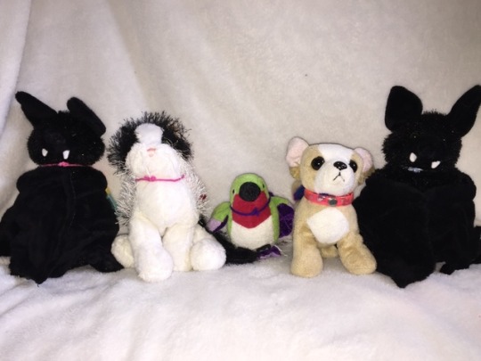 webkinz pet of the month club
