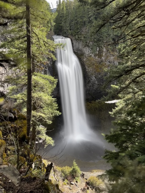 oneshotolive:  Salt Creek Falls, Oakridge