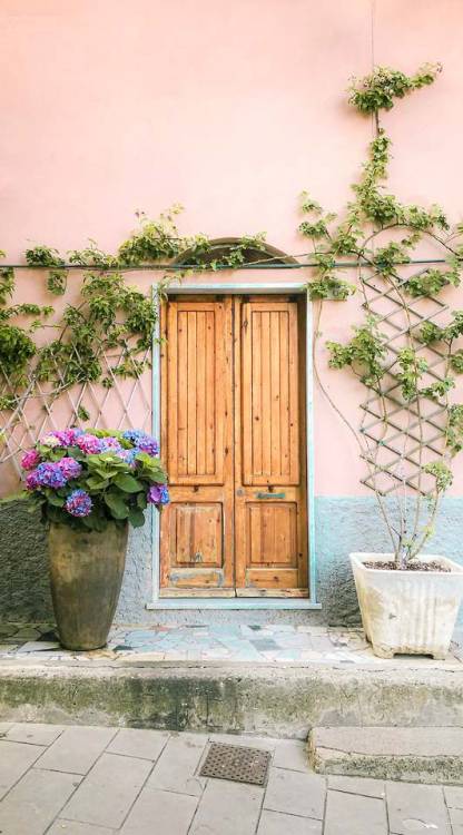 (via What do you think about this door in Cinque Terre? : postprocessing)