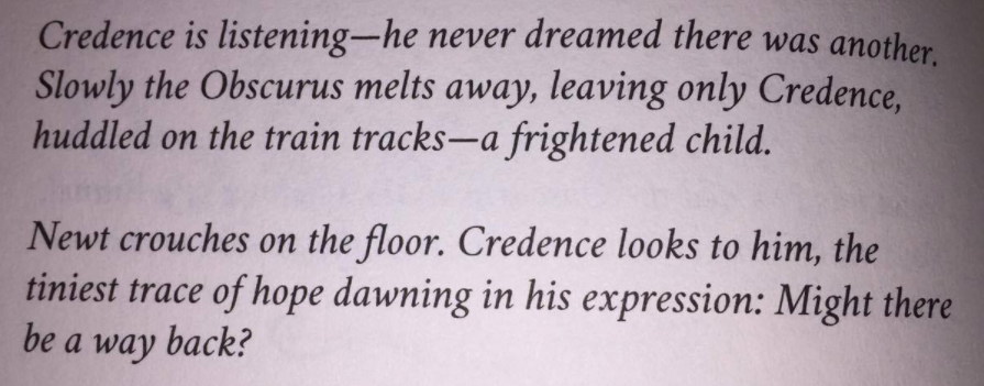 I bought the screenplay of Fantastic Beasts just so I could read more about Credence