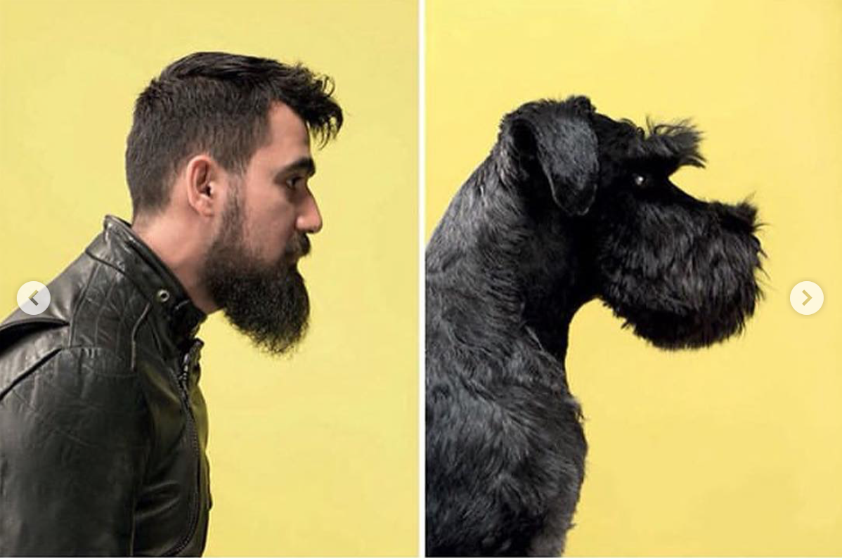 babyanimalgifs: Photographer puts dogs and their owners side by side, and the resemblance