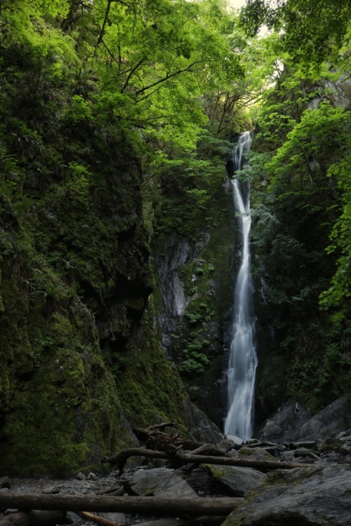 comoxphotography:Goldstream waterfall, BC.