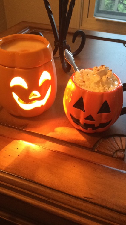 alloweenhallthetime:

Things are really getting spooky! Mug from Hobby Lobby and the wax melter from TJMaxx! 