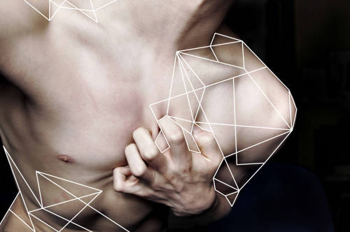 terminaltides:  lines