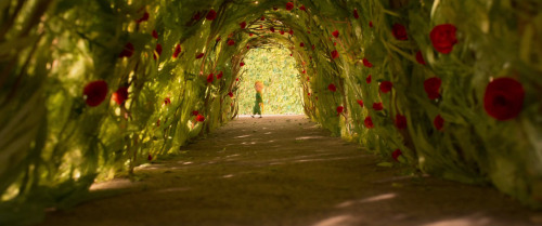 Porn Pics ca-tsuka:  The Little Prince stop-motion