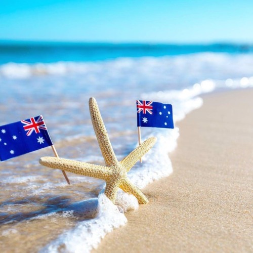 Happy Australia Day Hope everyone had a fantastic day! Comment below what you got up to! @shipwreckp