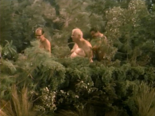 Evening Shade (TV Series)’Three Naked Men: Part 1,’ S2/E1, (1991), War breaks out between the women 