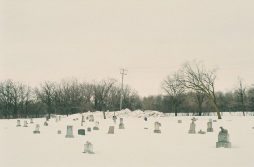 goldenprairies: child graveyard from the late 1800s - early 1900s. lots of the gravestones had fawns