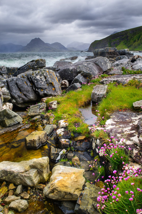 ominousraincloud:  Elgol Green | By James Duckworth | Elgol, Scotland 