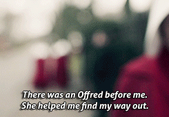 ahandmaidstale:It’s only funny if you know Latin. Actually, it’s probably only funny if you’re a twe