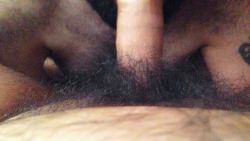 georgieoso:  Someone needs to shave, and