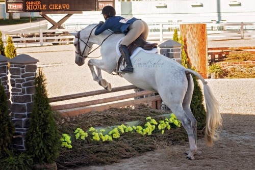 Those little butt dapples get me  • Brandywine 2018  • &copy; Ceara Rahne Photography