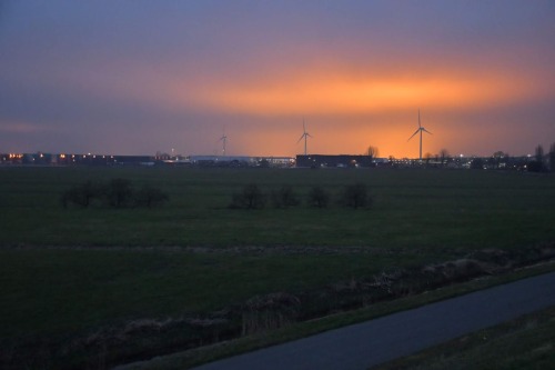 Photographs of greenhouses in Westland Netherlands by Tom Hegen, 2019. It looks like a scene from Bl