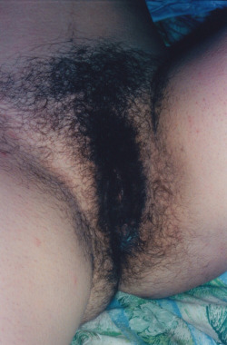 wife&rsquo;s hairy bush