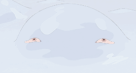 koushi:Yes. No matter she’s a fish, a mermaid, or a human, I still love her!Ponyo On The Cliff By Th