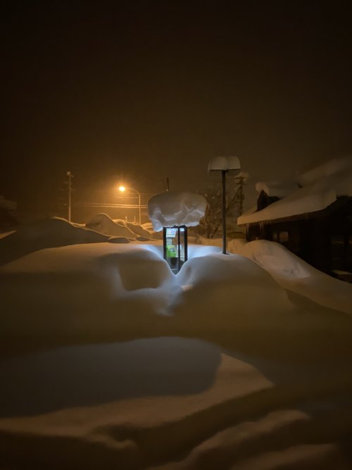 itscolossal:Hokkaido, Japan @mademoisellekaplan This speaks to me, but I don’t know how.