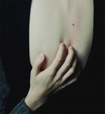 Le baiser de la Lune