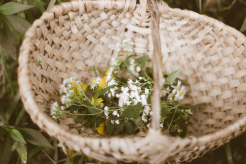 mossofthewoodsjewelry: Just got back from a hike collecting some of the late summer-early autumn flo