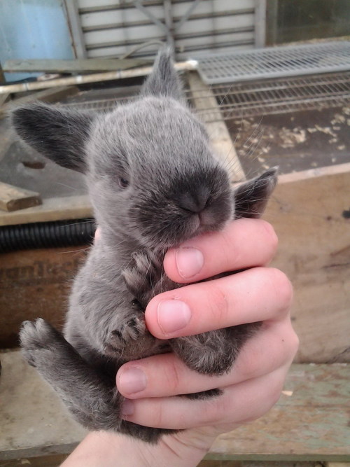 I want