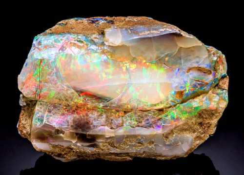 Fire Opal - Virgin Valley District, Virgin Valley, Humboldt Co., NevadaOpalized wood 