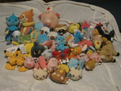 plushcrush:   Most of my Small Pokemon Plush