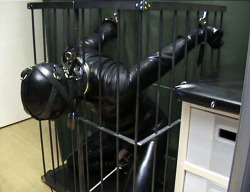 leatherdog: “Boy, do you remember when I locked you in the cage like this the first time three years ago? At that time, you absolutely wanted that I jerk your penis and you had promised me not to come. After three minutes, you then shoot. Immediately