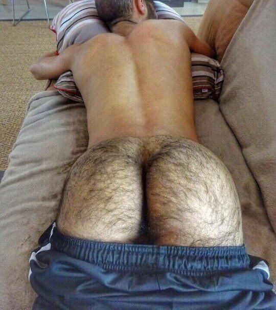 palesaladwombat:thehairyass:Nice hairy ass