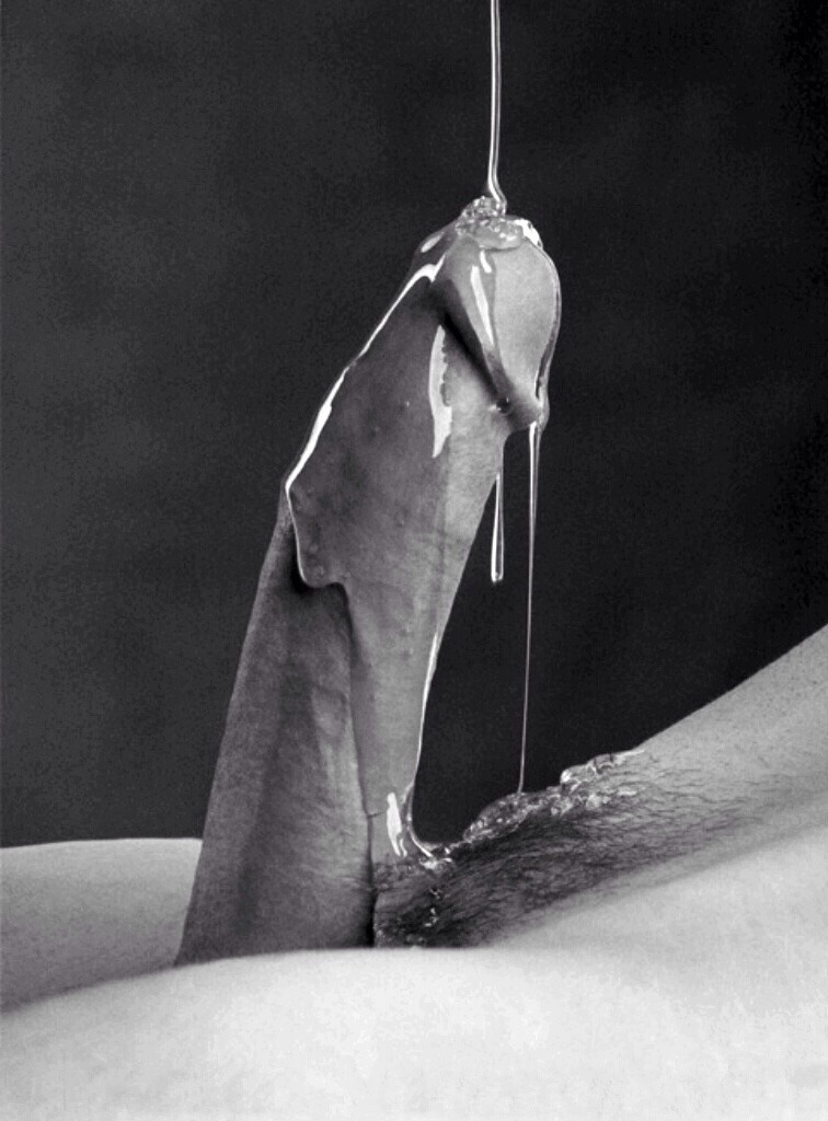 YOU MUST WORSHIP HARD, THROBBING COCKS 