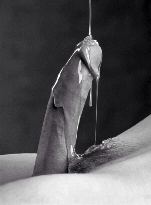 YOU MUST WORSHIP HARD, THROBBING COCKS 