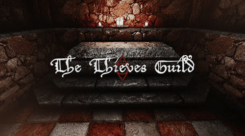 FACTIONS OF SKYRIM IV. The Thieves Guild