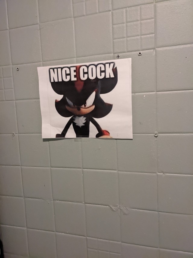 ID: an image of a blue-ish green tiled bathroom wall with a paper taped behind the toilet. The paper has printed on it "NICE COCK" in all caps, superimposed over an image of shadow the hedgehog. End ID.