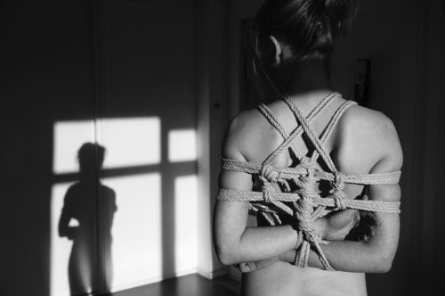 bodhimstr:  Jung.