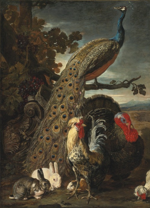 art-and-things-of-beauty - David de Coninck (ca.1644-1704) - A...