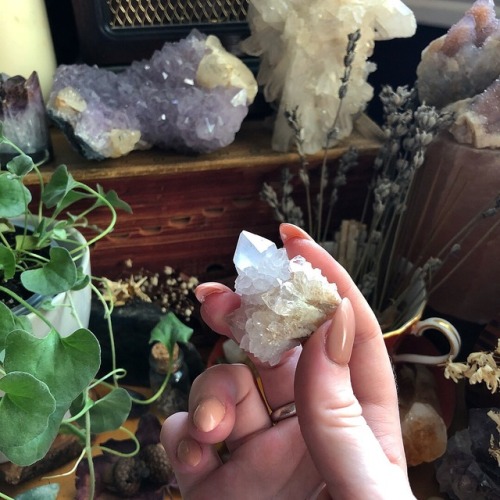 lavenderwaterwitch: Spirit Quartz Cluster &amp; newest plant baby — wishing you a very joy