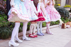 karin-hoshikawa:  Bunny Tea Party~ 