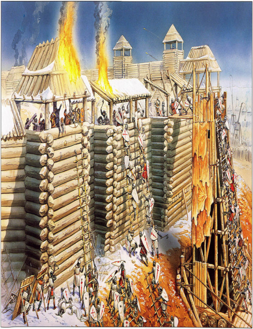 mediumaevum:Ladders were used by those attacking a castle to climb over the walls and fight the cast