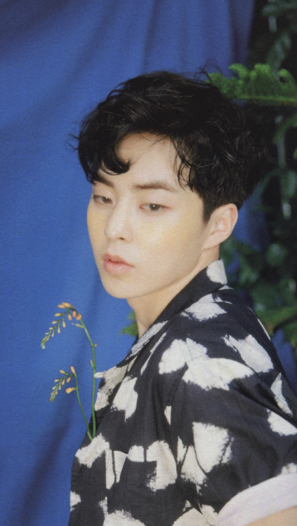 xiumin wallpapers {for cellphone}like if you saverequest more hereenjoy!