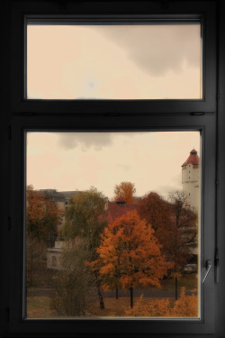 lichtwelt:  WINDOW