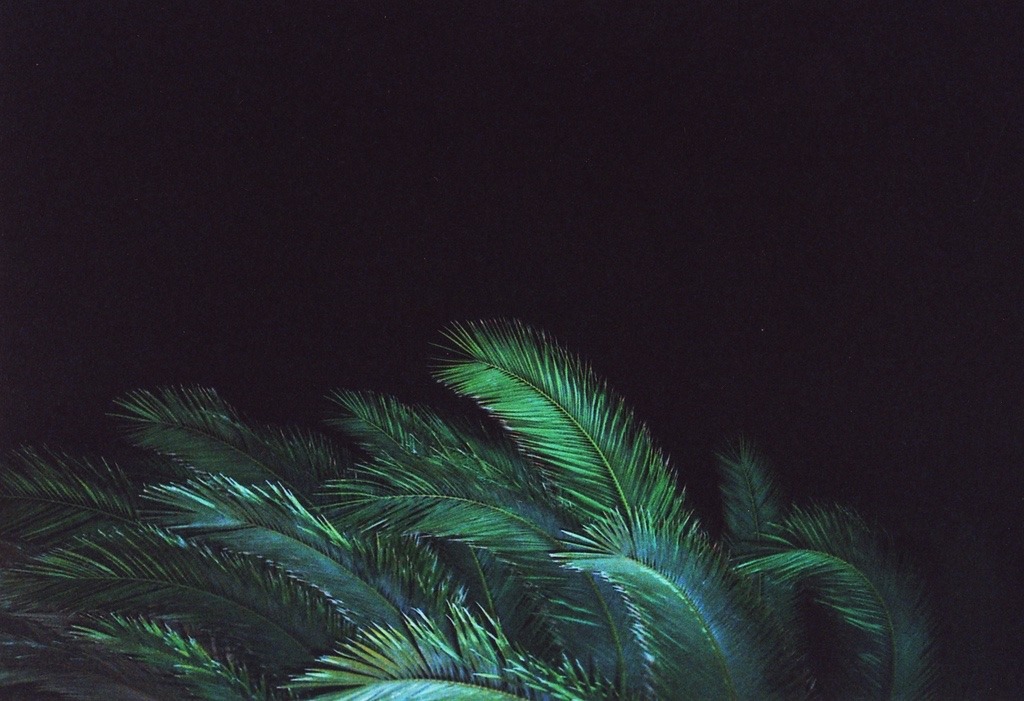 fxckallthesexhoes:  💦