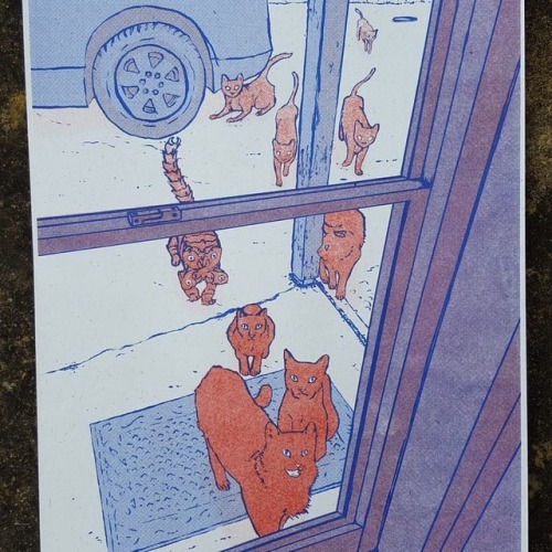 salamanderteeth:Thanks to @ropepress I have a brand new risograph print, ‘Neighbourhood Cats&r