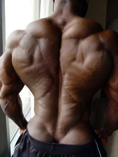 steadymirin:  Dexter Jackson 