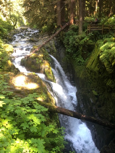 Finally got back out to Sol Duc falls, been talking about it anytime I see it pop