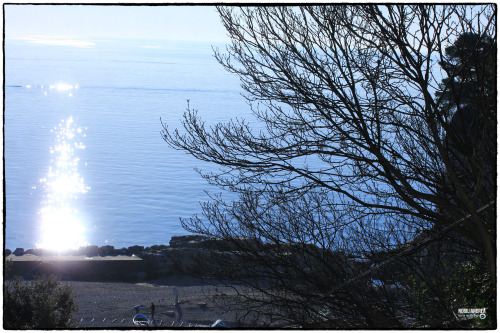 Sirolo-Portonovo 