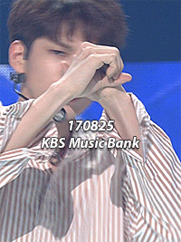 ongdan:ong seongwu in energetic live performances