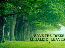 legalizeact:  It’s Time to Go Green!  check