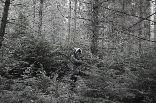 4-2-16     -     wyre forest